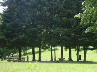 Tresnjik 5