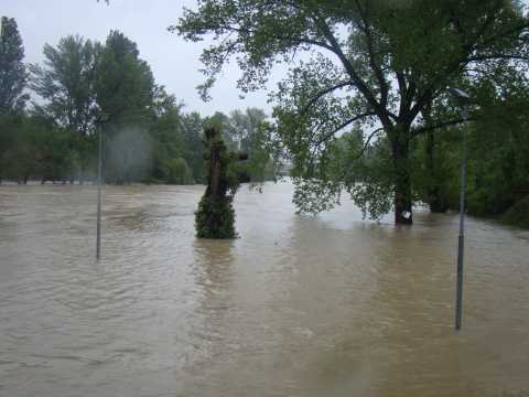 Plaža Studenac