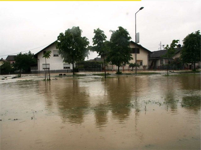 Bužak, prema Trapistima